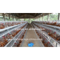 Nepal Layer Chicken Battery Cages For 10000 Birds Poultry Farm Design Layout